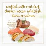 Purina Fancy Feast Gravy Lovers Variety Pack