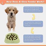 Zenify Large Dog Bowl Slow Feeder - Light Green