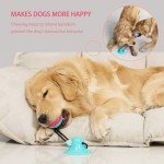 Durable Chew Toys for Aggressive Chewing Dogs