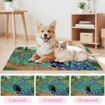 Black Cat Absorbent Pet Feeding Mat 12x20