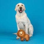 Fringe Studio Tough Plush Lion Dog Toy