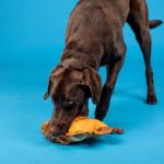 Fringe Studio Tough Plush Lion Dog Toy