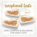Poultry and Beef Wet Cat Food Variety Pack