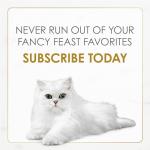 Poultry and Beef Wet Cat Food Variety Pack