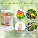 Automatic No-Mess Bird Feeder for Parrots