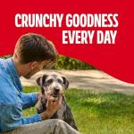 Milk-Bone Original Dog Biscuits for Medium Dogs