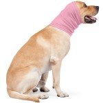 Dog Calming Hoodie and Ear Wraps for Anxiety