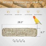 Seagrass Bird Mat and Chew Toy Hammock