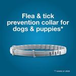 Seresto Flea & Tick Collar for Small Dogs