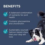 Osteocare Joint Health Chews for Dogs 500g