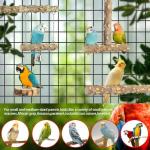 Natural Wood Bird Perches – 4 Pack Set