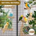 Natural Wood Bird Perches – 4 Pack Set