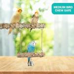 Natural Wood Bird Perches – 4 Pack Set
