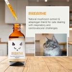 MycoCat Breathe - Cat Respiratory Support Drops