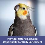 Kaytee Spray Millet Treat for Pet Birds