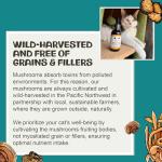 MycoCat Breathe - Cat Respiratory Support Drops