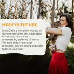 MycoCat Breathe - Cat Respiratory Support Drops