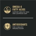 Salmon & Rice Sensitive Skin Dog Food