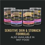 Salmon & Rice Sensitive Skin Dog Food