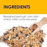 Suet Cakes for Wild Birds - 10 Unflavored Pack