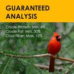 Suet Cakes for Wild Birds - 10 Unflavored Pack