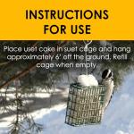 Suet Cakes for Wild Birds - 10 Unflavored Pack