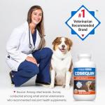 Cosequin MSM Joint Health Supplement for Dogs
