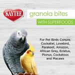 Kaytee Granola Bites for Pet Birds, 4.5 Oz