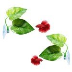 2 Pack Betta Fish Leaf Pads for Healthy Habitat