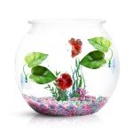 2 Pack Betta Fish Leaf Pads for Healthy Habitat