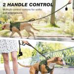 WINGOIN Heavy Duty Dog Leash with Handles, Green