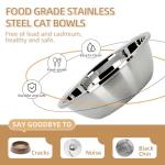 Raised Cat Bowl Set with Stainless Steel Bowls