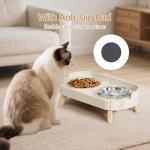 Raised Cat Bowl Set with Stainless Steel Bowls