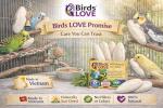 Natural Cuttlebone for Birds and Small Pets