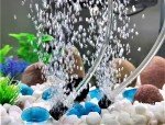 AQUANEAT 12-Pack Aquarium Air Stones - 0.6 Inch