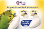 Natural Cuttlebone for Birds and Small Pets