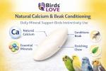 Natural Cuttlebone for Birds and Small Pets