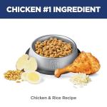 Hill's Science Diet Urinary & Hairball Dry Cat Food