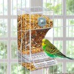 Automatic No-Mess Bird Feeder for Parrots