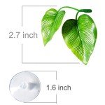 2 Pack Betta Fish Leaf Pads for Healthy Habitat