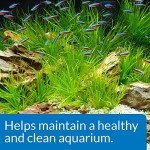 API Aquarium Start Up Pack - 2 x 1.25 oz