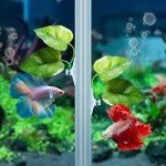 2 Pack Betta Fish Leaf Pads for Healthy Habitat