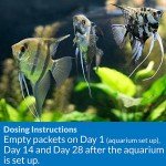 API Aquarium Start Up Pack - 2 x 1.25 oz