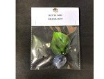 2 Pack Betta Fish Leaf Pads for Healthy Habitat
