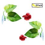 2 Pack Betta Fish Leaf Pads for Healthy Habitat