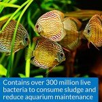 API Stress Zyme Aquarium Water Cleaning Solution, 8 oz