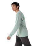 Arc'teryx Kragg SL Cotton Bird Tile Shirt LS Men's | Soft Cotton Climbing Shirt with Tiled Bird Graphic | Stone Green/Phosphorescent, X-Large