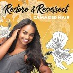 Paul Brown Hawaii Washe Elite Shampoo | Hydrate & Treat Damaged Hair | Moisturizing Hair Product, Safe for Color-Treated Hair, Antioxidant-Rich Kukui Nut Oil (10 oz.)