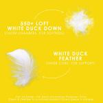 Canadian Down & Feather Co. - 1 Pack Medium Support Down Perfect White Feather & Down Pillow Standard Size - 240 TC Shell 100% Cotton - Oeko TEX Certified