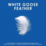 Canadian Down & Feather Co. - Quilted White Goose Feather Body Pillow 48" Long - 255 TC Shell 100% Cotton - Filled in Canada